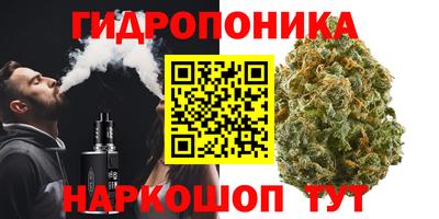ALPHA PVP Рузаевка