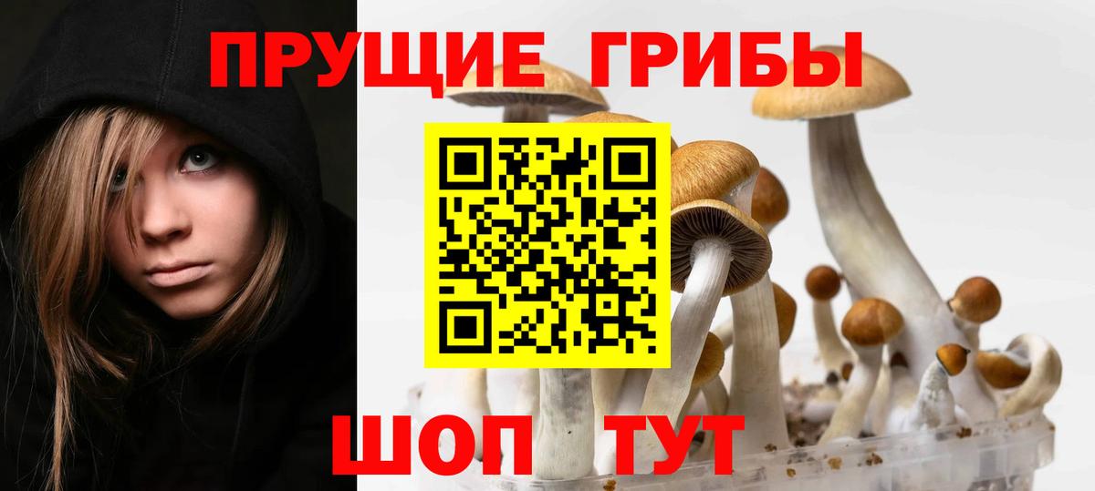 Галлюциногенные грибы Magic Shrooms Пенза