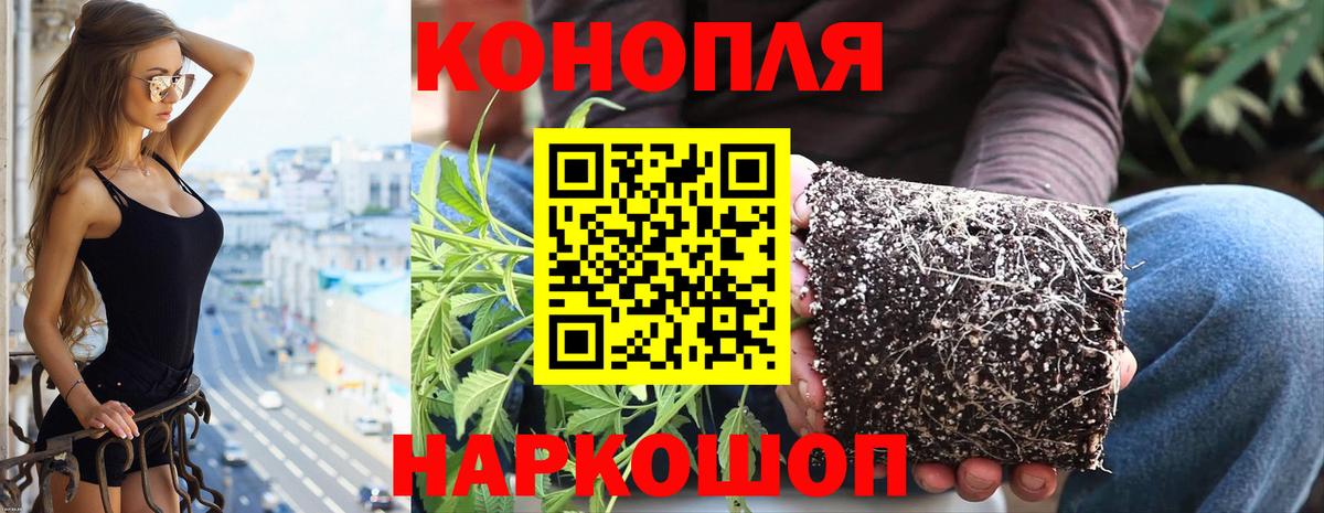 Конопля тримм Пенза